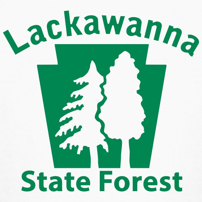 Lackawanna State Forest Keystone (w/trees)