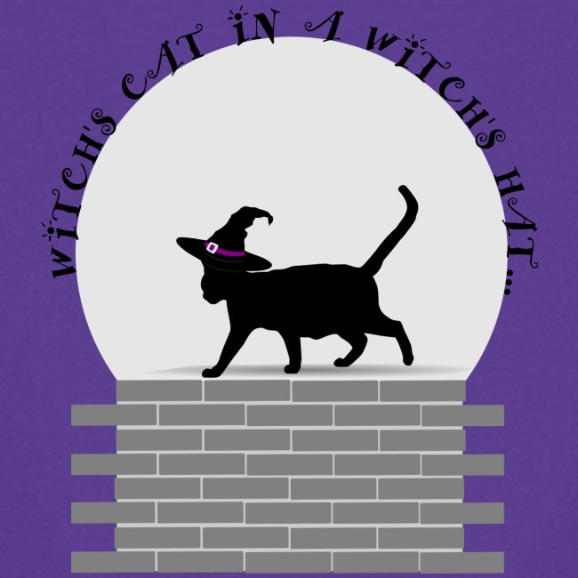 Witch's Cat In A Witch's Hat
