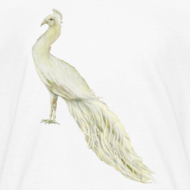 White peacock