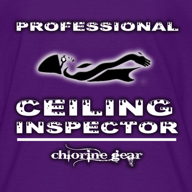Professional Ceiling Inspector
