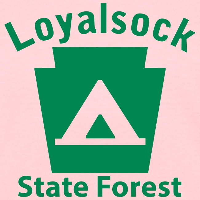 Loyalsock State Forest Camping Keystone PA
