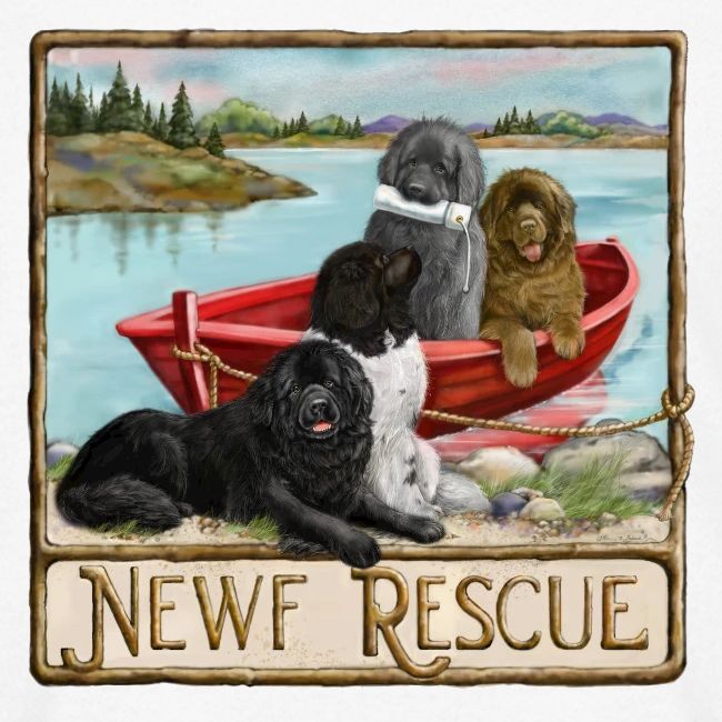NCA Newfoundland Dog Rescue Gear