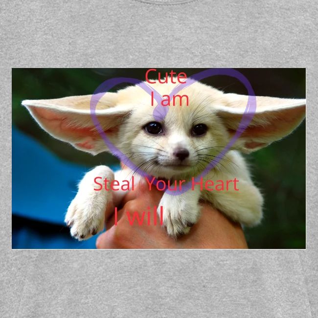 baby fox