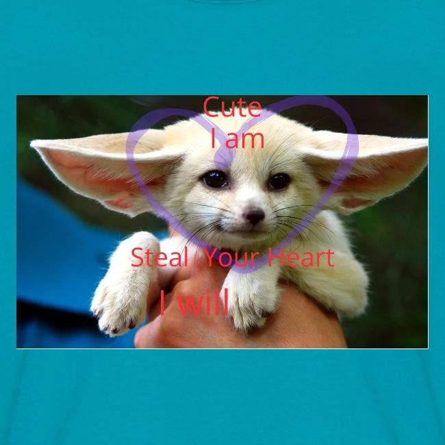 baby fox