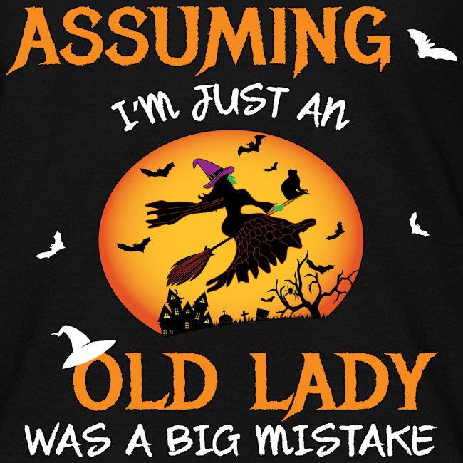Old Lady Witch Broomstick Black Cat Bats Spider.