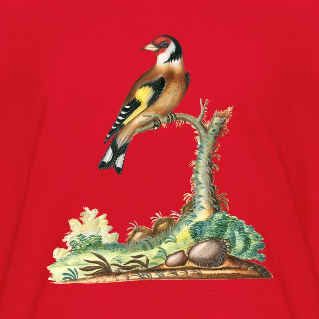 European goldfinch