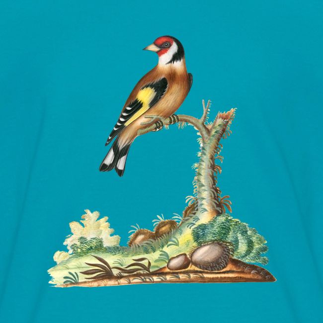 European goldfinch