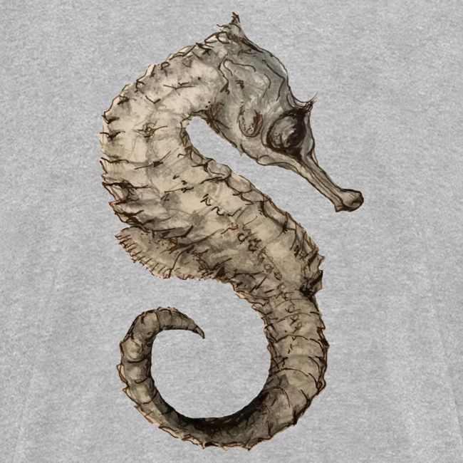 seahorse sea horse