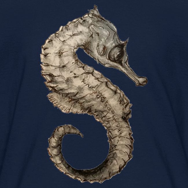 seahorse sea horse