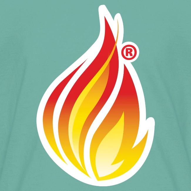 HL7 FHIR Flame graphic with white background