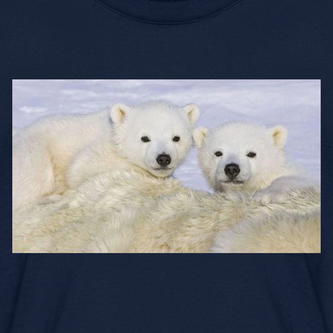 polarbears