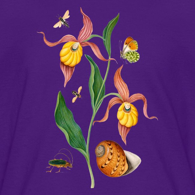 Lady Slipper Orchid