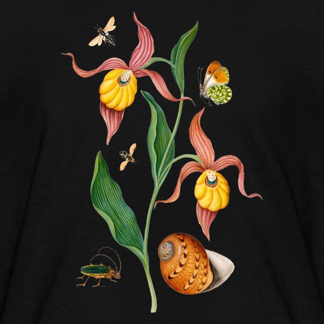 Lady Slipper Orchid