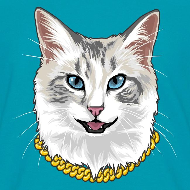 Cashmere the Cat