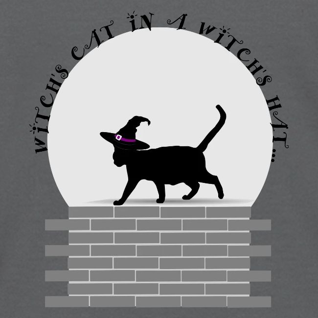 Witch's Cat In A Witch's Hat