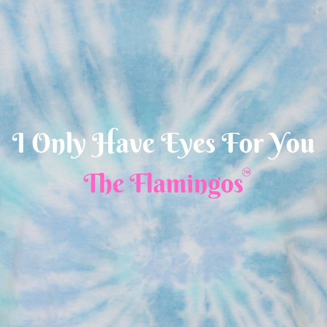 I Only Have Eyes For You - The Flamingos/Pink