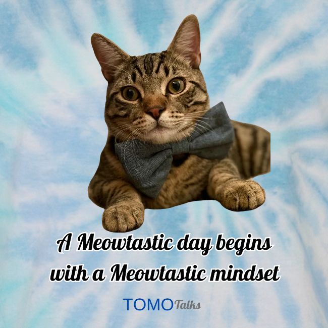 Meowtastic Mindset