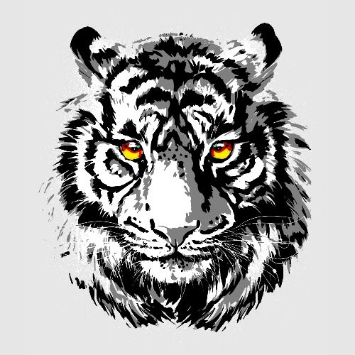 Tiger Head - Tiger Artwork - Wildlife Big Cats