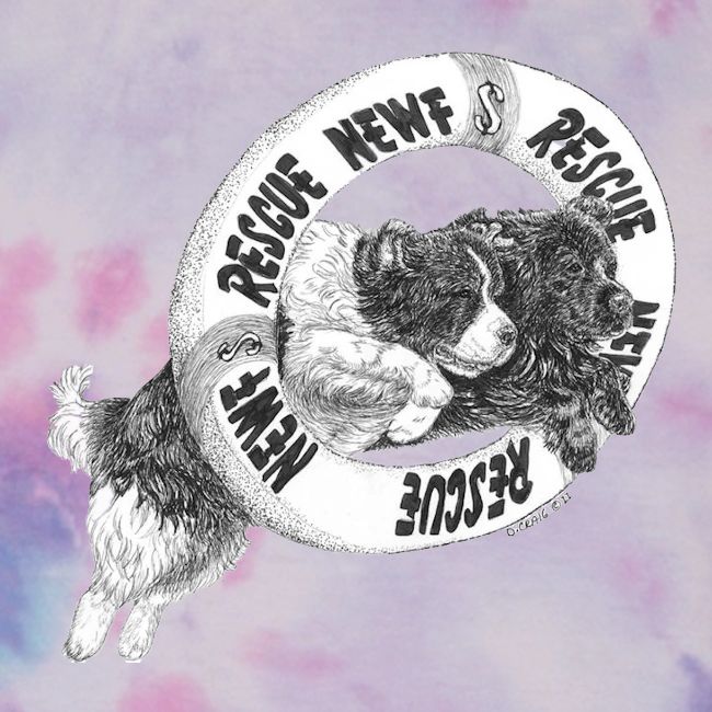 Limited Edition Rescue Design
