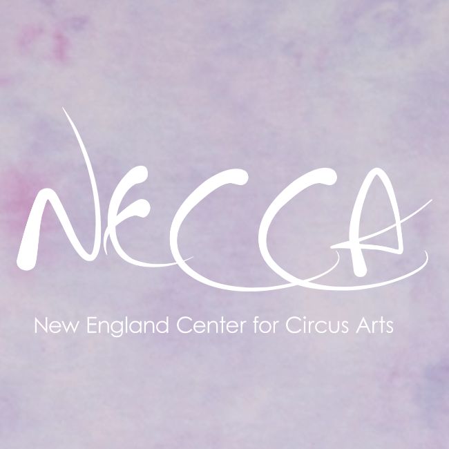NECCA Pride Shirt