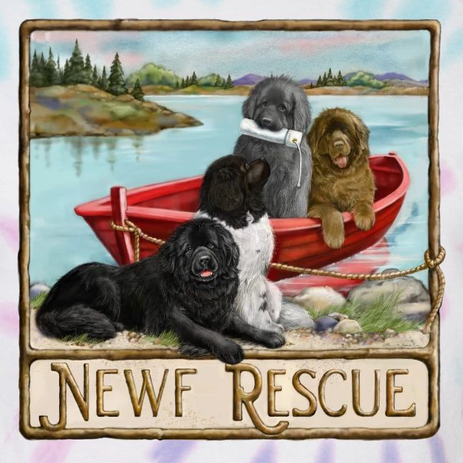 NCA Newfoundland Dog Rescue Gear
