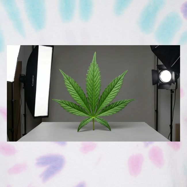 ***CANNABIS LEAF TEE***