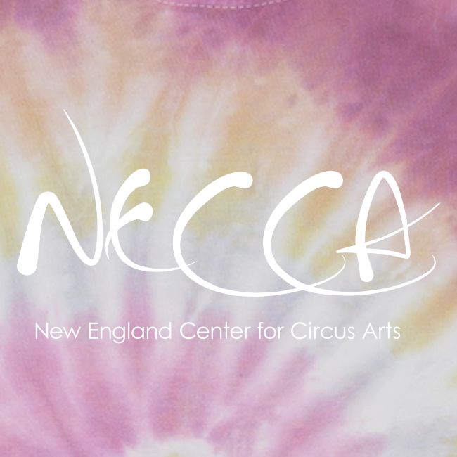 White NECCA Logo