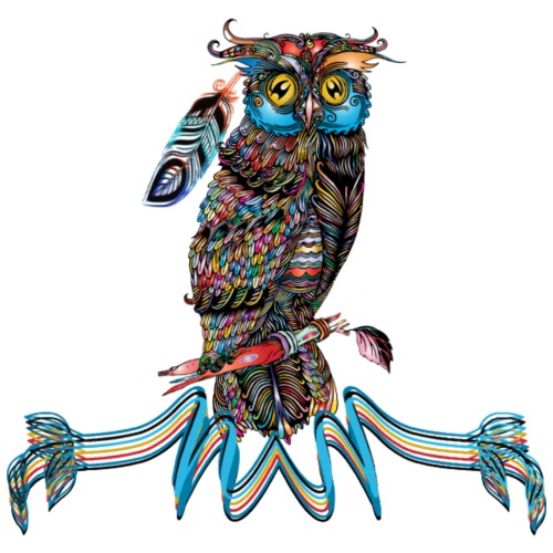 Native American Indian Indigenous Wisdom Owl - Unisex Tie Dye T-Shirt
