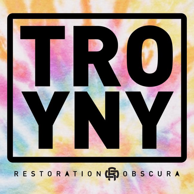 TROY NY Cube