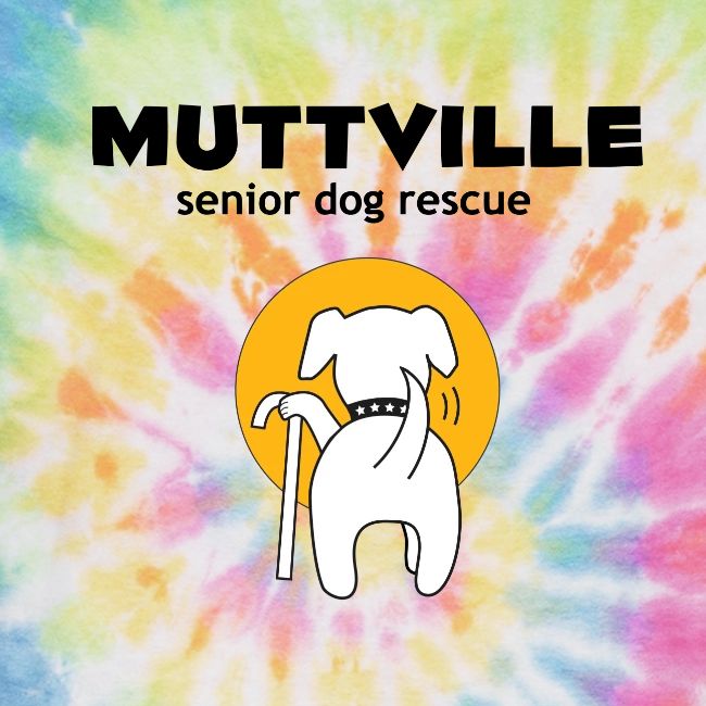 Love Blooms at Muttville