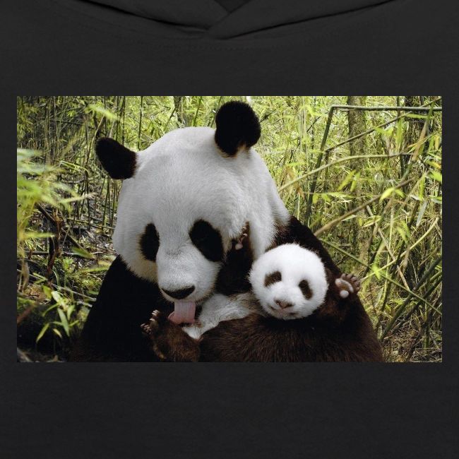 panda