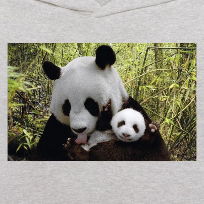 panda