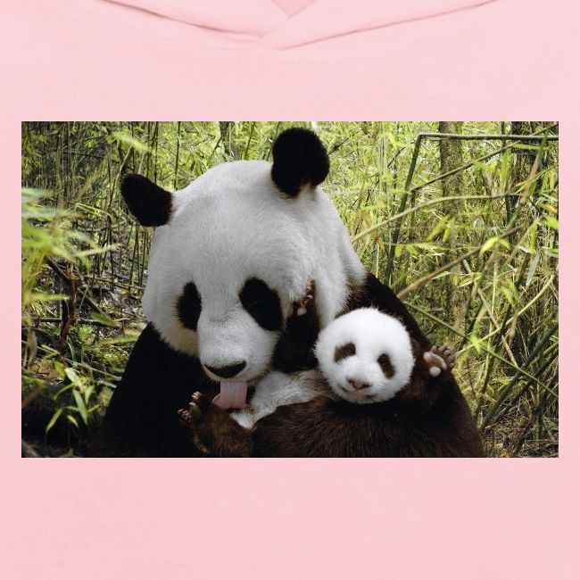 panda