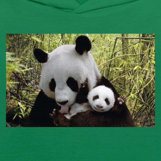 panda