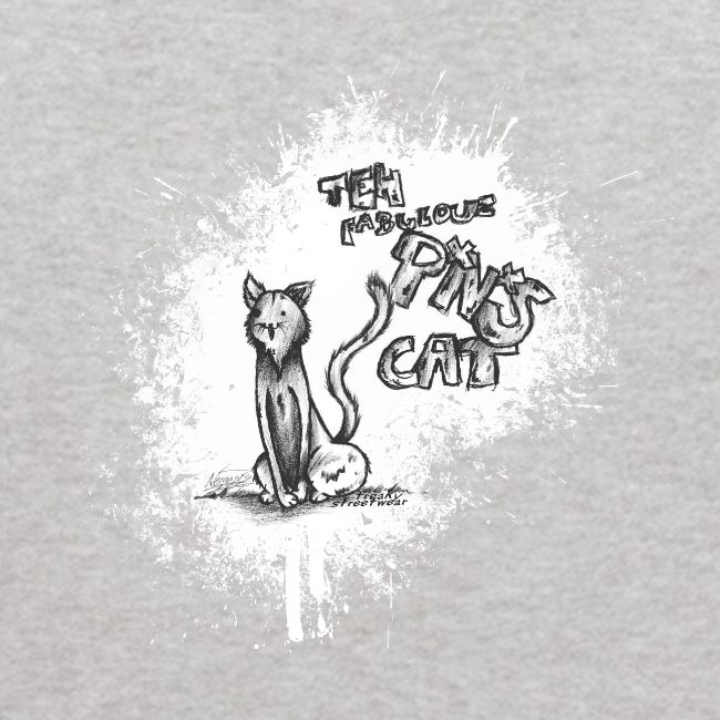 teh fabulouz PNS cat