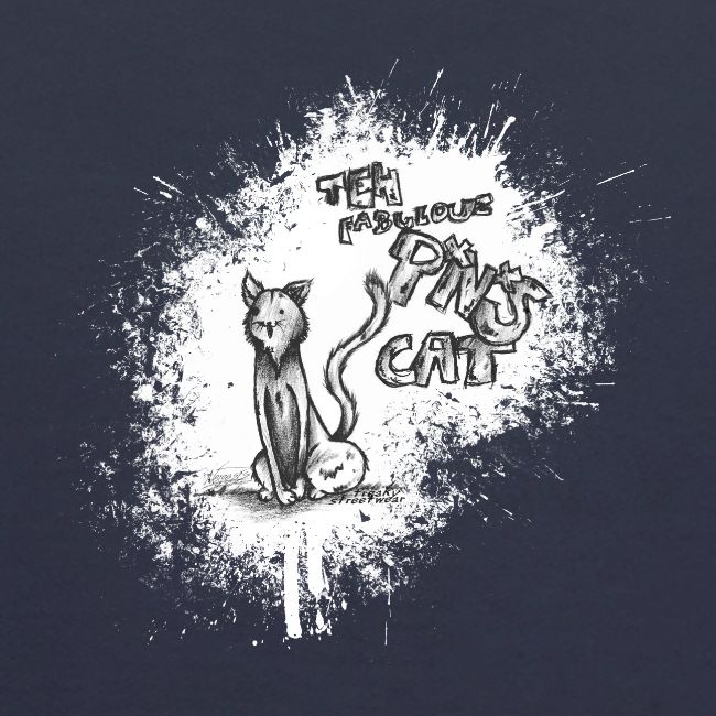 teh fabulouz PNS cat