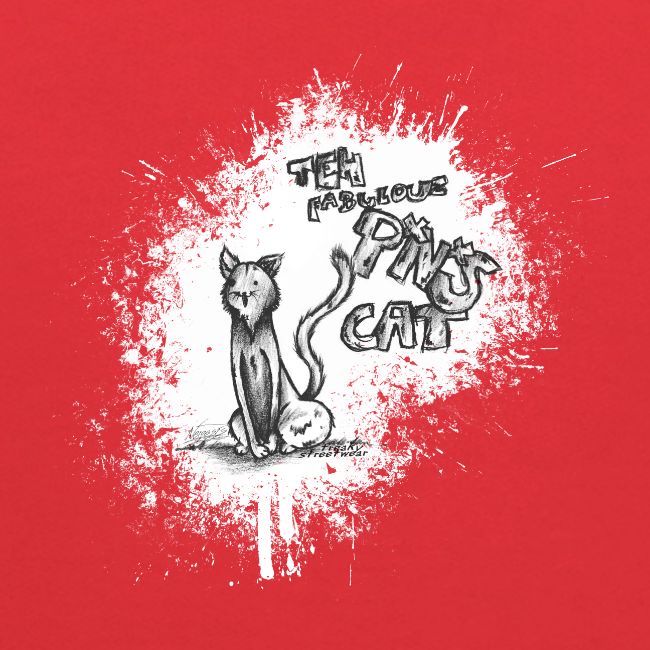 teh fabulouz PNS cat