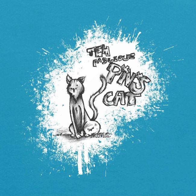 teh fabulouz PNS cat