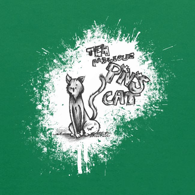 teh fabulouz PNS cat