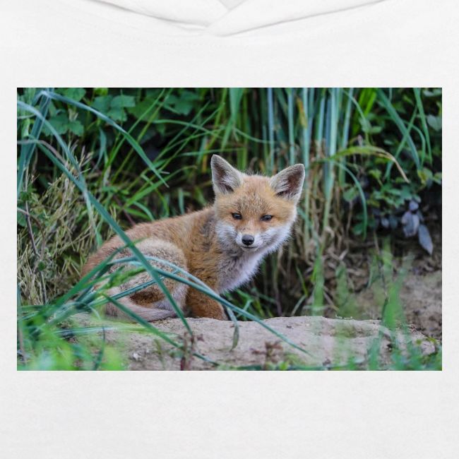 fox