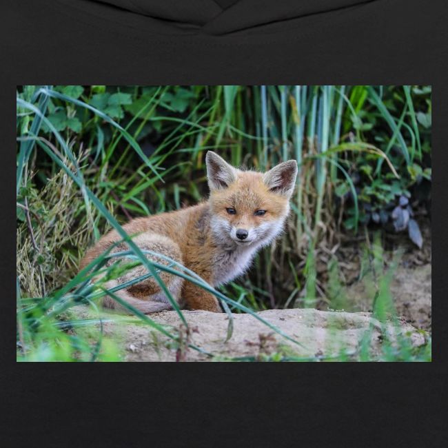 fox