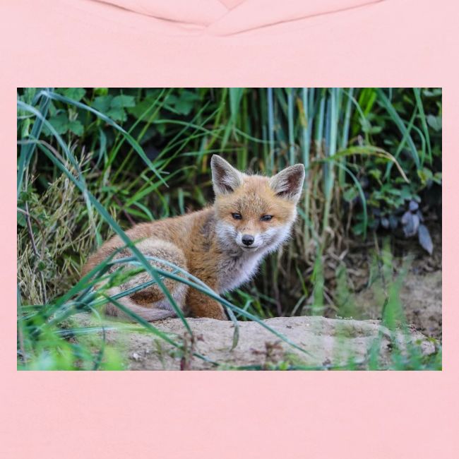 fox