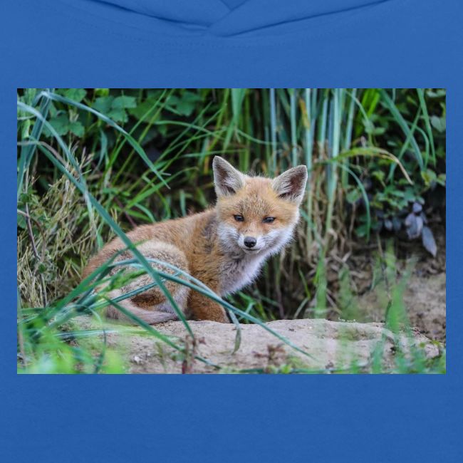 fox