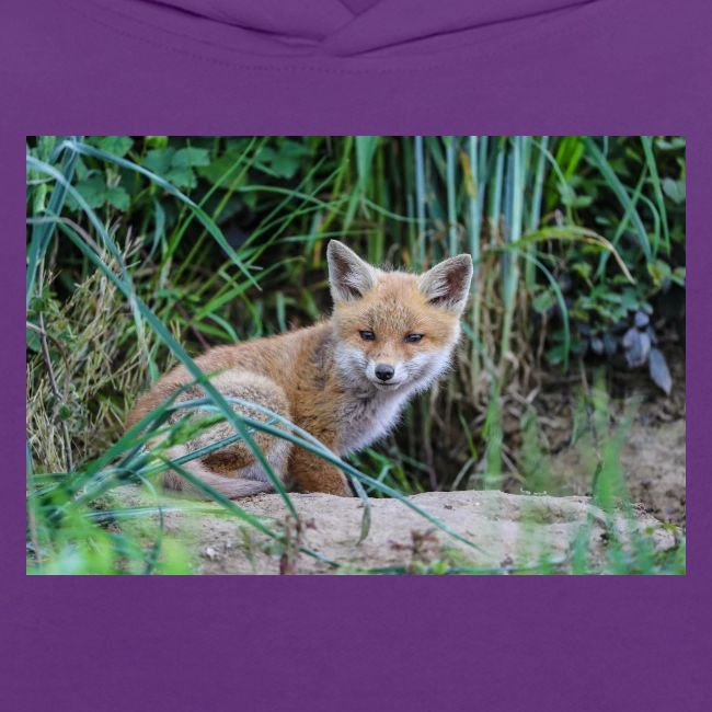 fox