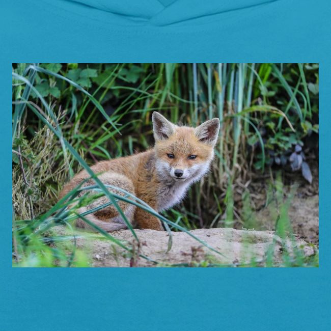fox