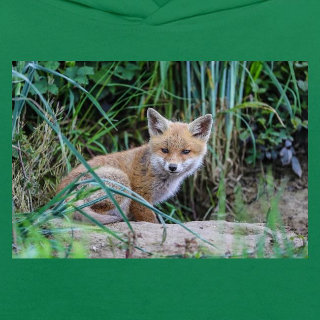 fox