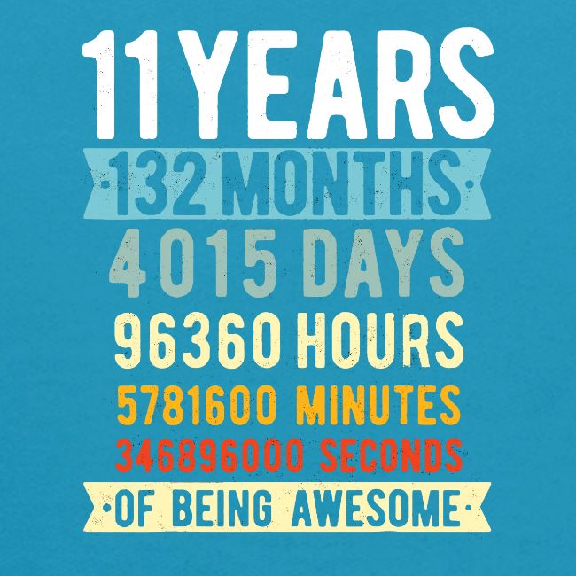 11th Birthday 11 Years Old Vintage