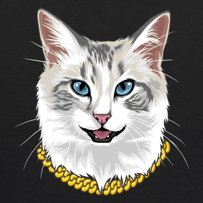 Cashmere the Cat
