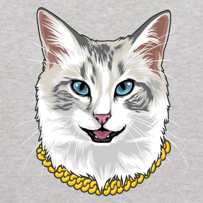 Cashmere the Cat