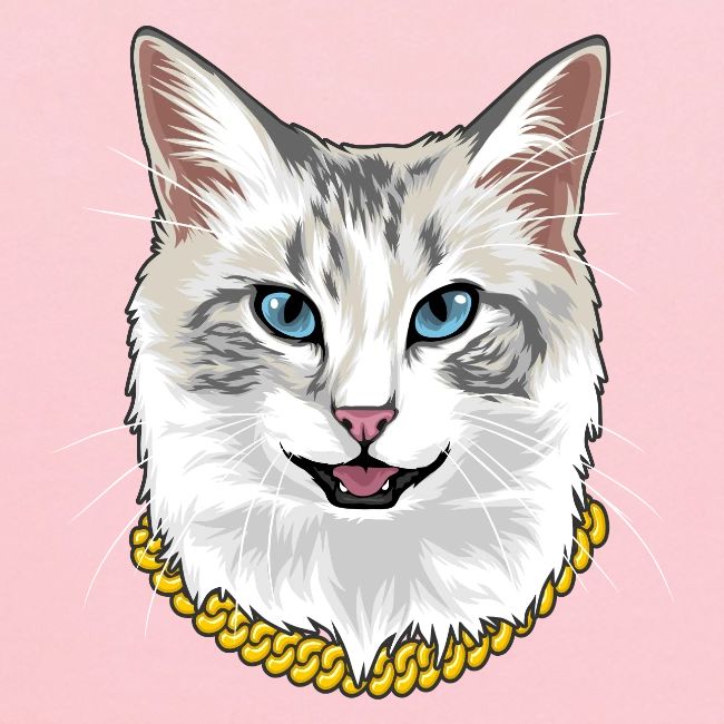Cashmere the Cat